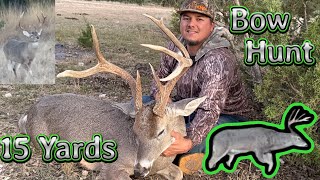 What a Seven Point! // Whitetail Deer Hunting // Bow Hunting //