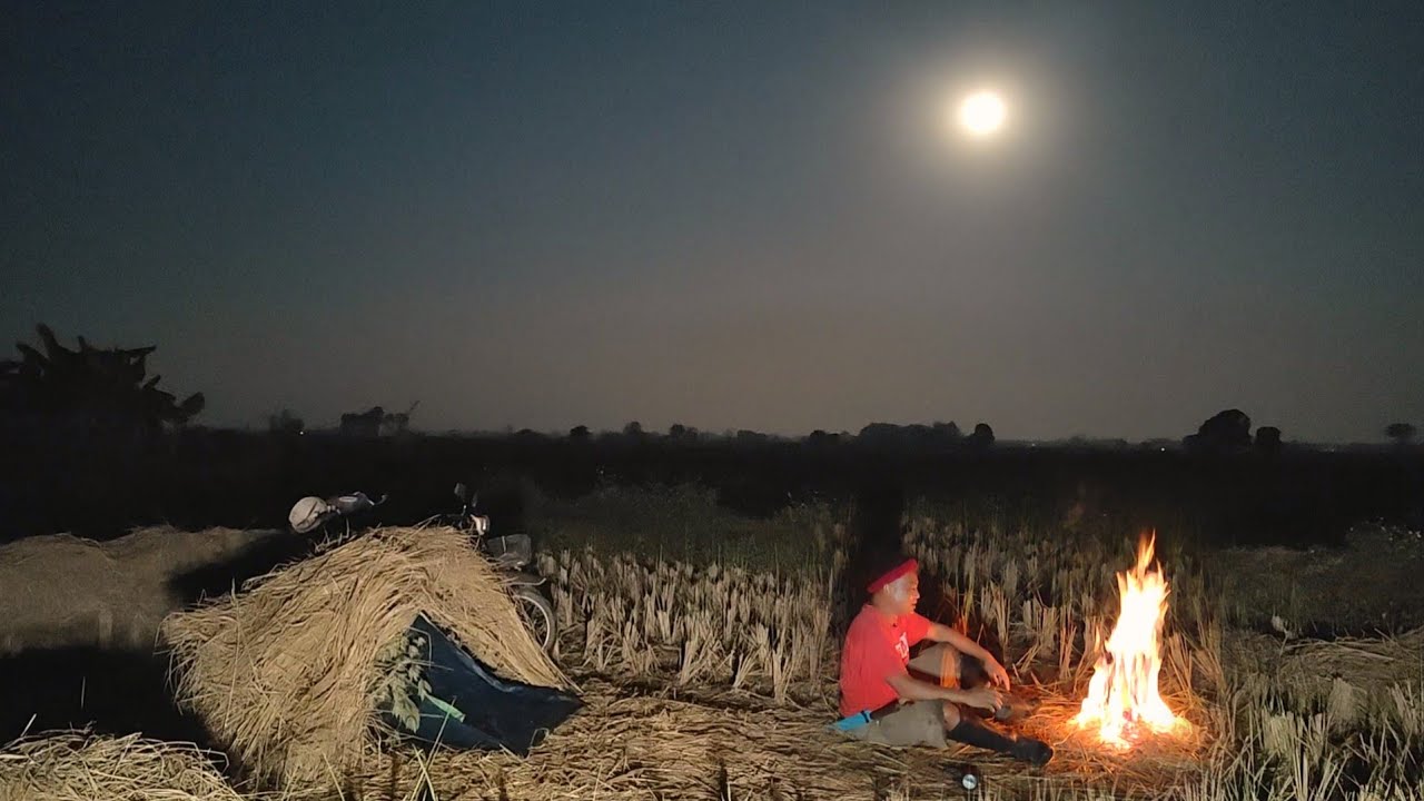 ค้างคืนดักหนูด้วยเหยื่อหอยเชอรี่เห็นหมายแล้วโคตรได้ลุ้น