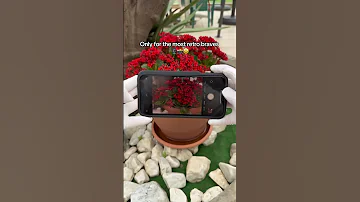 This IPhone Case Has A Real Camera Shutter Button You Need To See This 