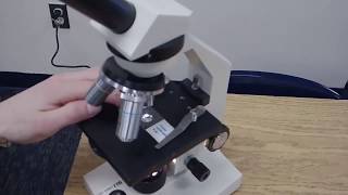 Preparing a Microscope Slide