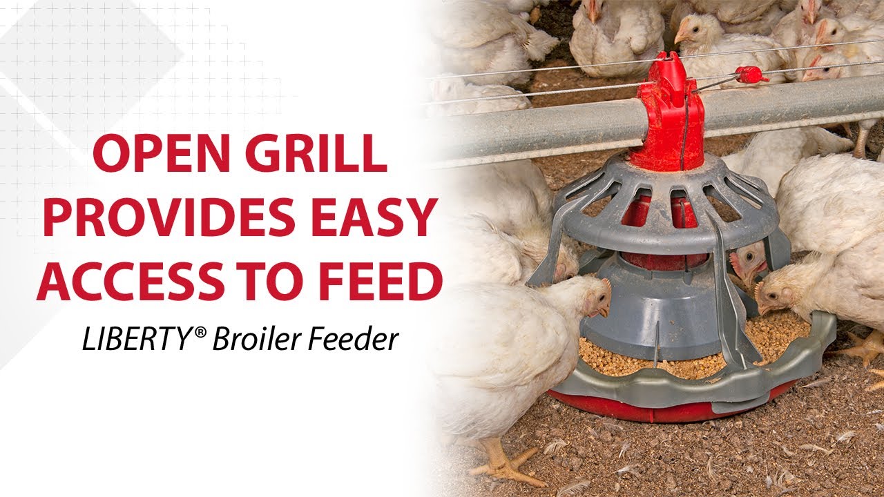 Chore Time Liberty Broiler Feeder Youtube