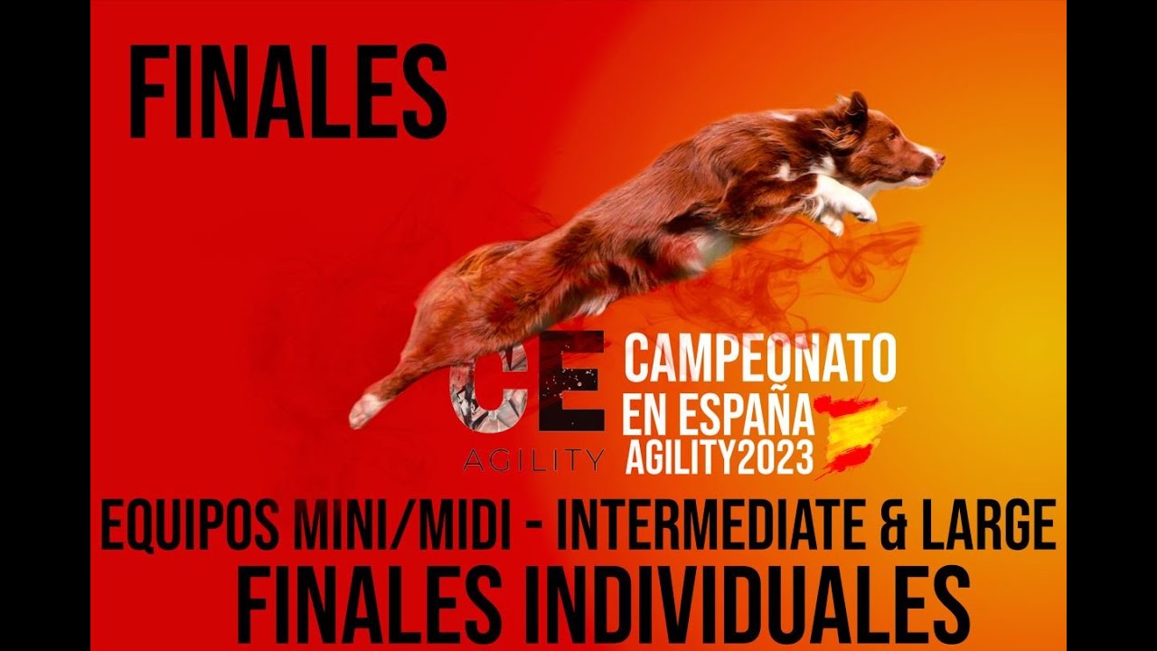 FINALES DEL CAMPEONATO EN ESPAÑA DE AGILITY RSCE 2023 INDIVIDUAL Y EQUIPOS