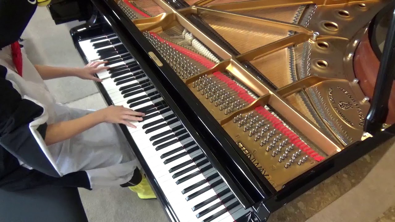 【ロマサガ３】ラストバトル【弾いてみた】