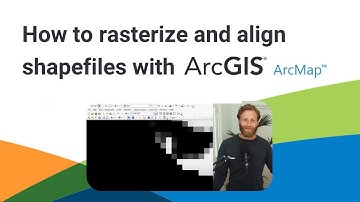 How to rasterize and align shapefiles (ArcMap)