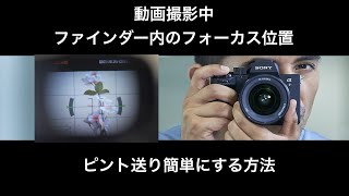 動画撮影中 ファインダーを覗きながらピント送りを簡単にする方法// フォーカスエリア スポットの使い方