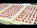 密着24時!ショートケーキを大量に作るケーキ屋さんの１日 ｜ビルソンローラーズ