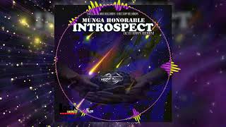 Munga Honorable - Introspect (Official Audio) February 2019