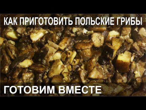 КАК ПРИГОТОВИТЬ ПОЛЬСКИЕ ГРИБЫ  ГОТОВИМ ВМЕСТЕ