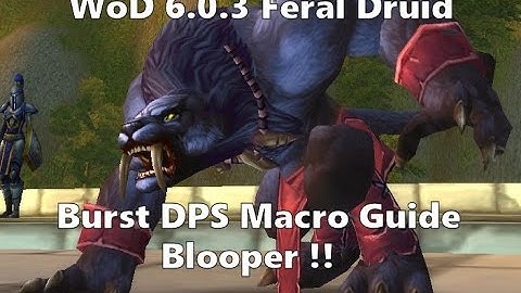 BLOOPER - Feral Druid One Shot Macro