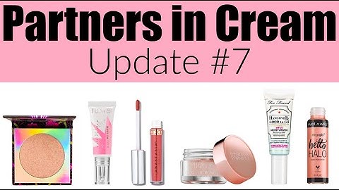 Project Pan Update #7 | Partners in Cream | Group Collab