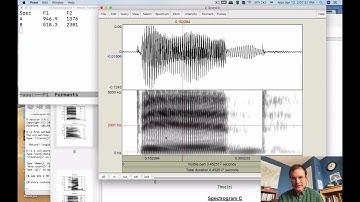 Ling 341 - Intro Phonetics - Vowel Matching Exercise