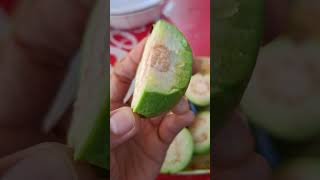Raw Guava Fruit Found In Backyard guava guavafruit fruit healthylifestyle healthyfood food