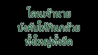 นิยายเสียง | โดนเจ้านายบังคับให้กินกล้วย | นิยาย​เรื่องสั้น​จบ​ใน​ตอน​