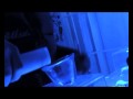Ice Kube Bar Sub Zero Vodka mp3