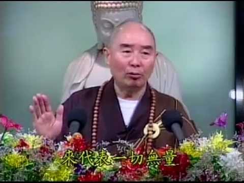 Video Kinh Vô Lượng Thọ tập 2.mpg - Pháp Sư Tịnh Không - youtube