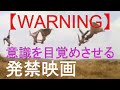 意識の目覚め　覚醒方法　脱洗脳　意識を目覚めさせたくない人は見ないで！この映画を観ると切断されます。フランスをはじめEU各国で発売禁止（発禁）となった切断される映画「美しき緑の星」中山康直氏の解説付き