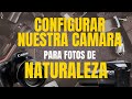 CONFIGURAR CAMARA BASICA 📸 PARA COMENZAR EN FOTOGRAFIA DE NATURALEZA 🦊🍀🐦