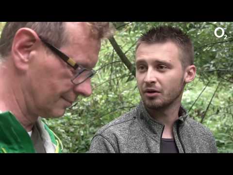 Video: Ako Nájsť Huby V Lese