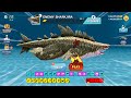 ENEMY SHARKJIRA SHARK GOT 90% OFF UNLOCKED AND KILL ALL SHARK - BIG SHARK | HUNGRY SHARK EVOLUTION