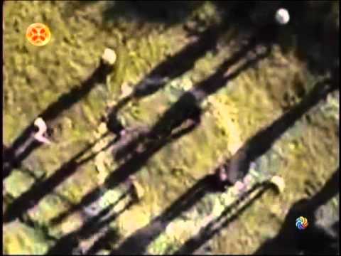 შავფაროსნები