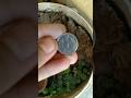 1 silver coin part 3shrots shortfeed shortsbeta 1921silverdollar