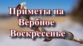 Приметы на Вербное Воскресенье🌿 Традиции и ритуалы на богатство с вербой.