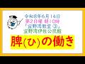 宜野湾教室　③　脾を解説