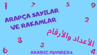 Arapça Sayılar Bir Dakikada Sayıları Öğren الاعداد بالتركية والعربية اعدادحتى١٠