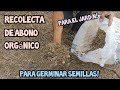 RECOLECTA de ABONO ORGÁNICO para germinar semillas y para el jardín