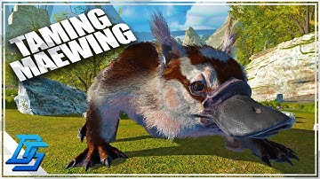 Lets play Ark Genesis Part 2 Gameplay, HOW TO TAME MAEWING! - Ark Genesis Part 2 - Episode 1