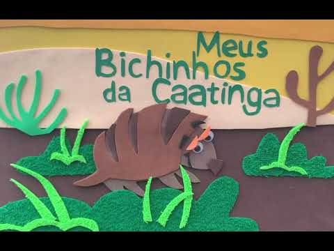 Meus bichinhos da caatinga - Julio Lóssio e Ana Barros