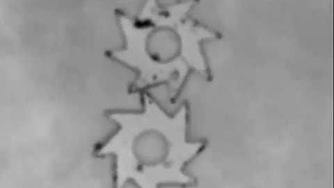 Active colloids, Phys. Usp. 56 79–92 (2013)