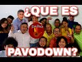 ¿QUE ES PAVODOWN?