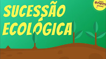 O que ocorre durante o processo de sucessão ecológica?