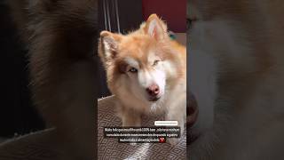 Baby Rory Está Indo Bem