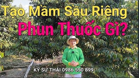 408: Tạo Mầm Sầu Riêng Phun Thuốc Gì? Làm bông vụ nghịch vụ 2021 | Kỹ sư Thái 0986 550 899