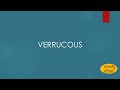 Verrucous meaning
