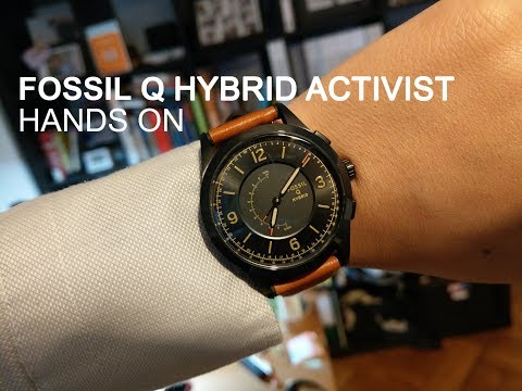 fossil activist q