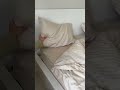HOTEL BEDSHEET ARE AVAILABLE