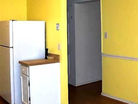 19208 Temple Ave, South Chesterfield, VA home video tour