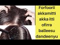 Forfoori Maalirra Nutti Dhufuu Dandaha Akkamitti Ofirraa Balleesu Dandeenya Forfoori Maalirra Nutti Dhufuu Dandaha Akkamitti Ofirraa Balleesu Dandeenya