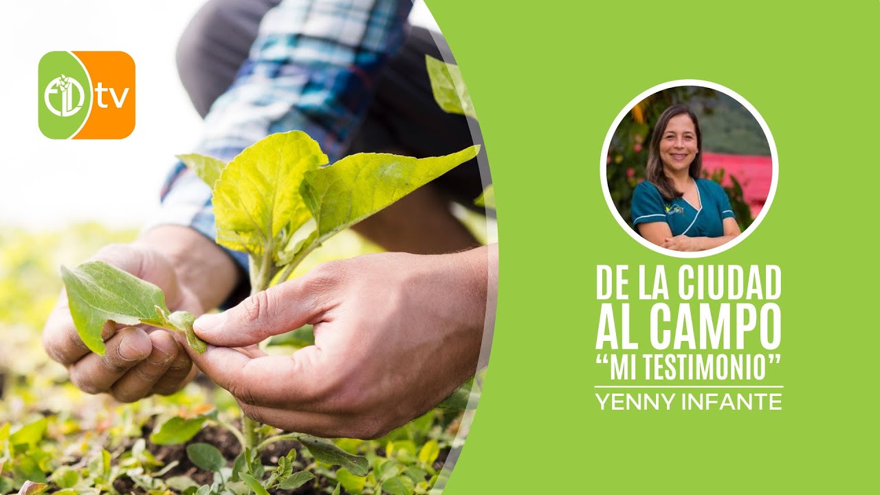 DE LA CIUDAD AL CAMPO 