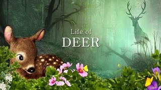 Life Of Deer (by 1Games) Android Gameplay [HD] screenshot 1