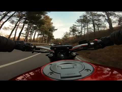 პატარა გასეირნება ცივ დეკემბერში❤️❤️❤️