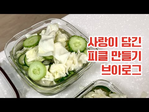 급 연차 브이로그 ~ 곰이네 고래빵 오픈런부터 사랑을 담은 피클 레시피까지 ~