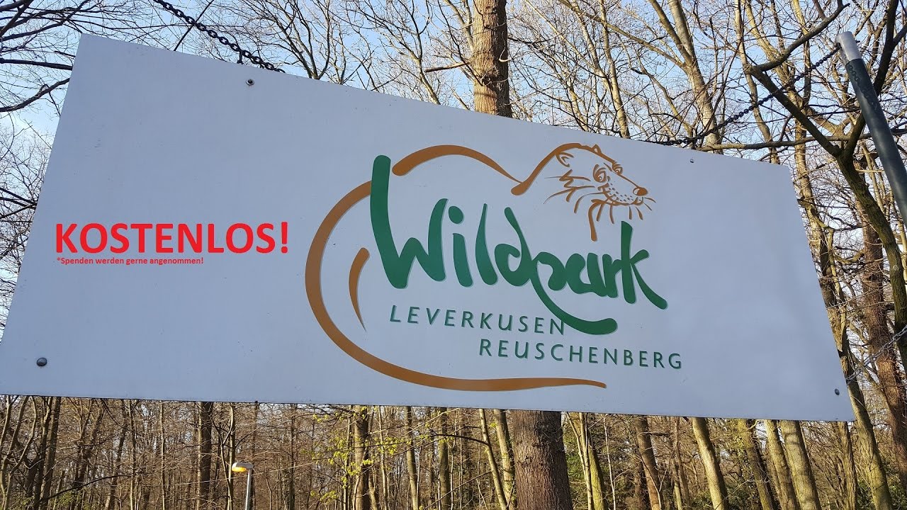 Wildpark Leverkusen Reuschenberg 2017 YouTube