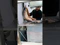 Mregel fish cutting skills video amazing giant fish cutting show #viral #fish #video #fishing