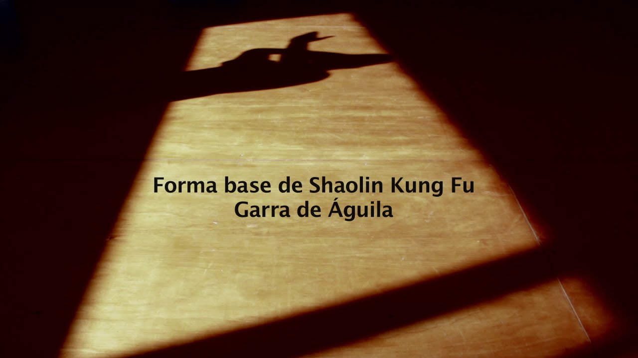 Tchu Tchiyn Kuy - Kung Fu Garra de Águila