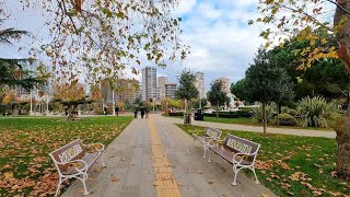 Istanbul Walk in a City Park | December 2020