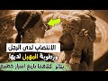 الانتـ صاب لدى الرجل ورطـ وبة المـ ـ هبل لدي المراة يتاثر باربع عوامل 